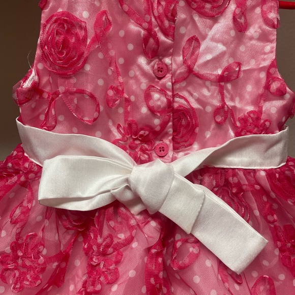 Blueberi Boulevard Girls Dress💕Pink roses with a white underskirt💐EUC🌹Size 6X - Picture 4 of 7